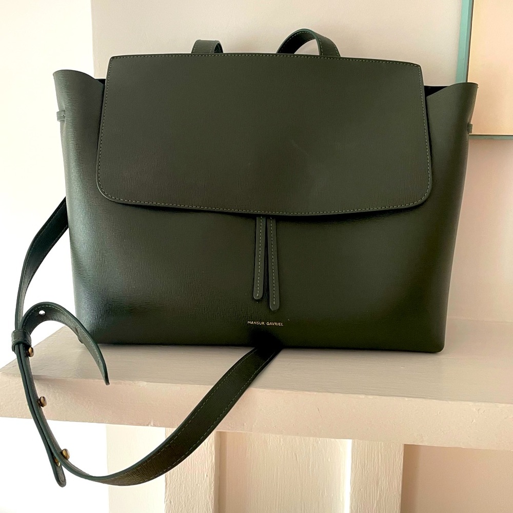 Surprising Mansur Gavriel Lady Bag Pictures